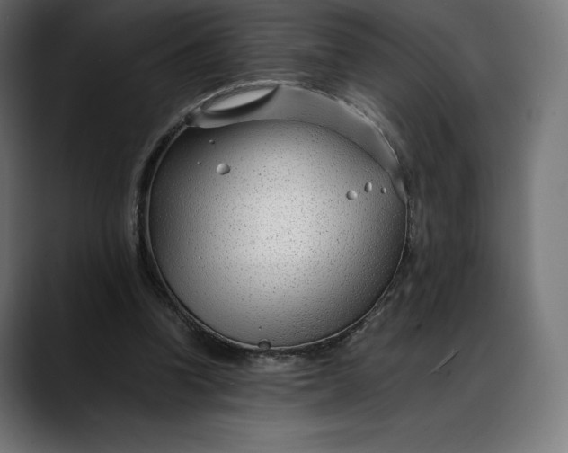 X0000088090346200705251433