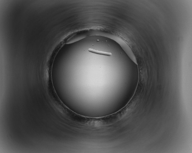 X0000088090350200705251433