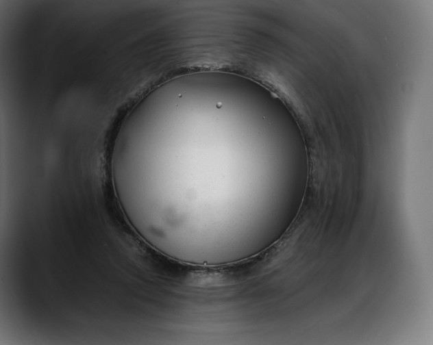 X0000088090354200705251433