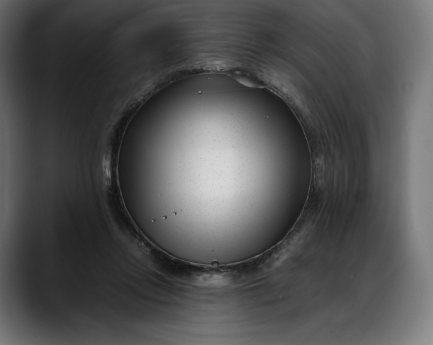 X0000088090358200705251434