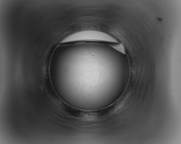 X0000088090359200705251434