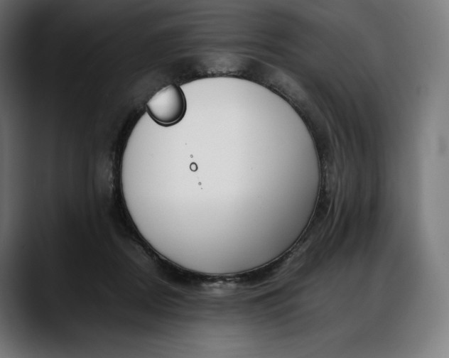 X0000088090362200705251434