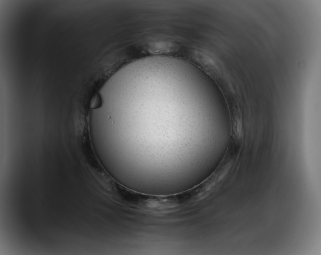 X0000088090367200705251434