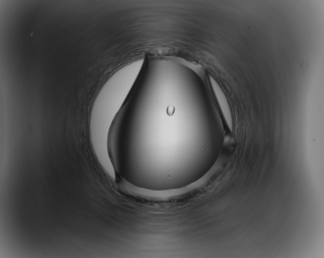 X0000088090368200705251434