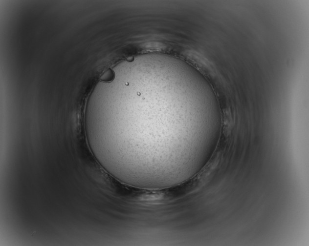 X0000088090369200705251434