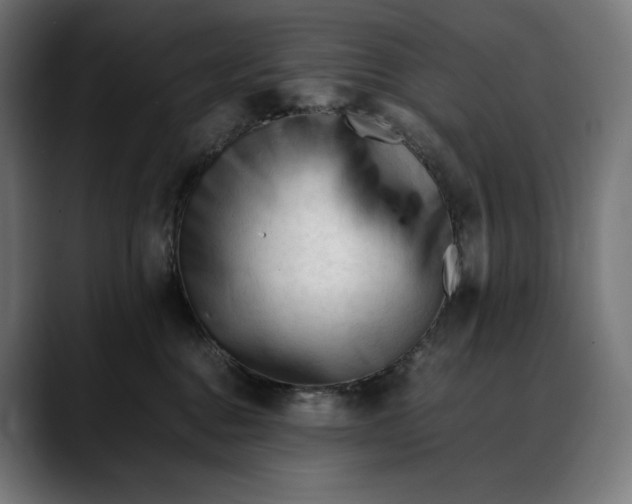 X0000088090376200705251434