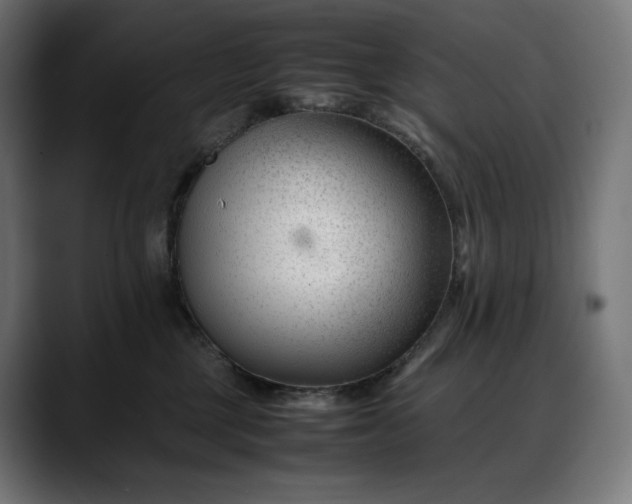 X0000088090377200705251434