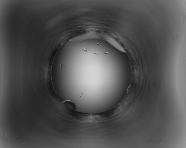 X0000088090379200705251434