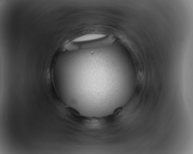 X0000088090381200705251434