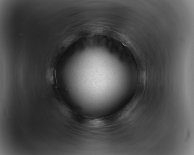 X0000088090383200705251434