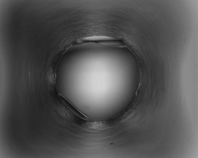 X0000088090384200705251434