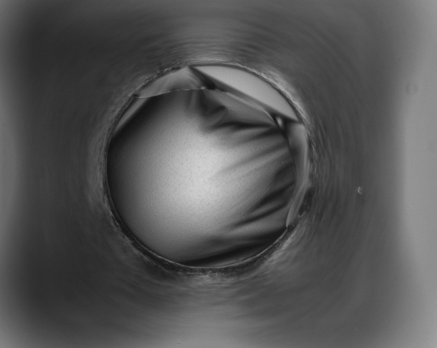 X0000088090385200705251433