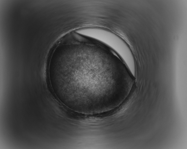 X0000088090387200705251433