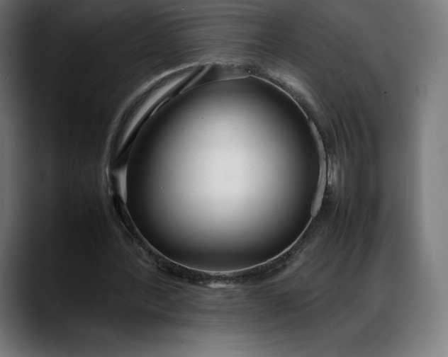 X0000088090388200705251433