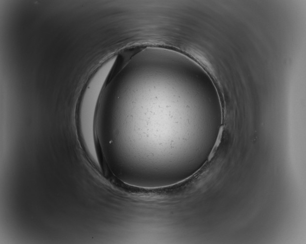 X0000088090389200705251433