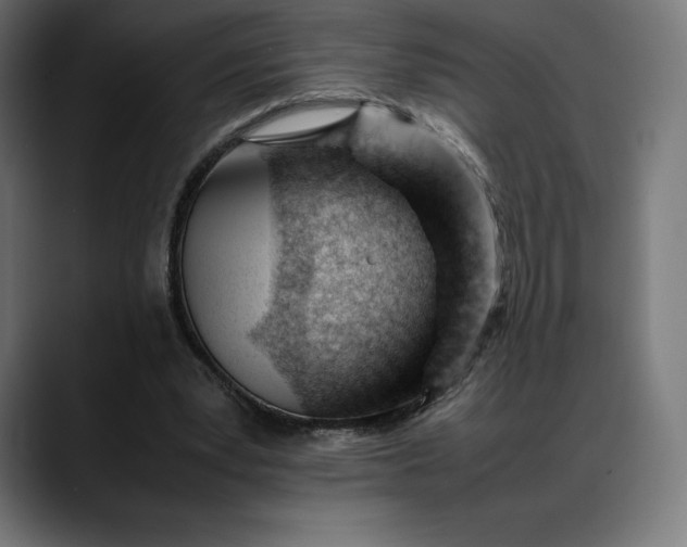 X0000088090391200705251433