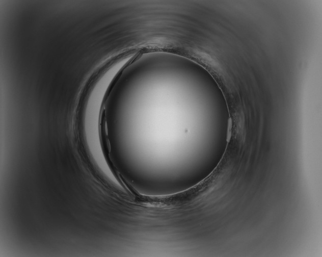 X0000088090392200705251433