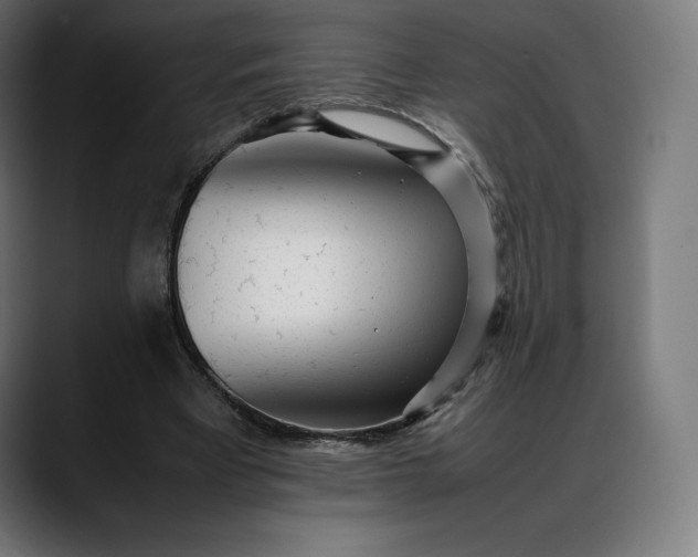 X0000088090393200705251433