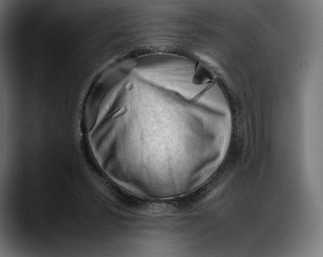 X0000088090399200705251433