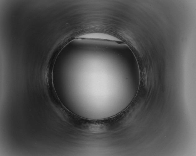 X0000088090400200705251433