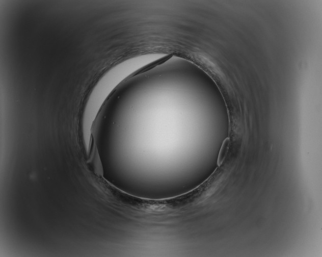 X0000088090401200705251433