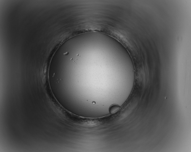 X0000088090402200705251433