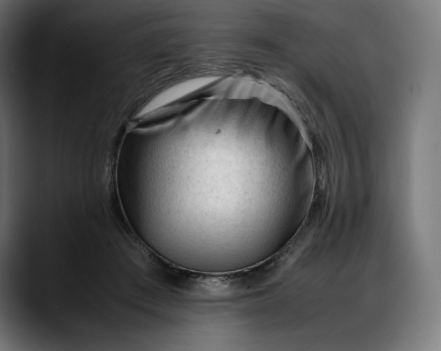 X0000088090409200705251433