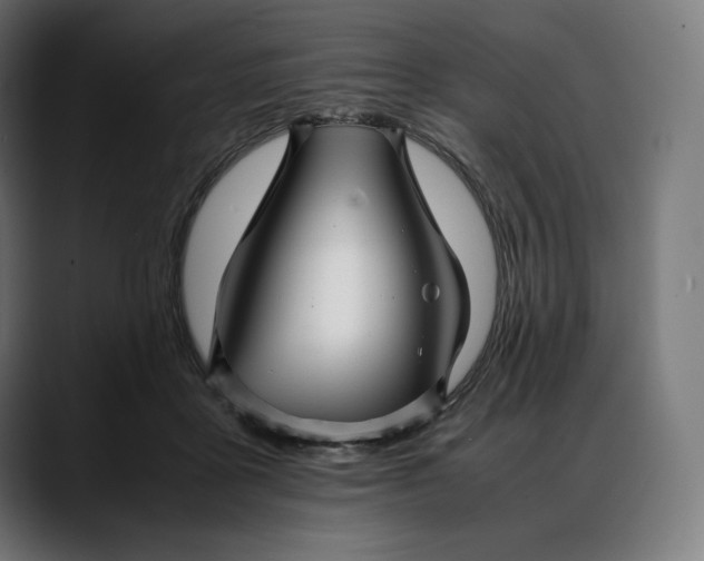 X0000088090411200705251433