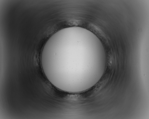 X0000088090414200705251433