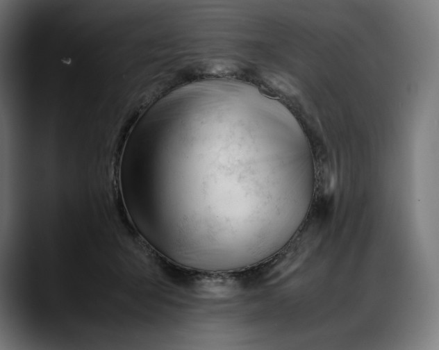 X0000088090415200705251433