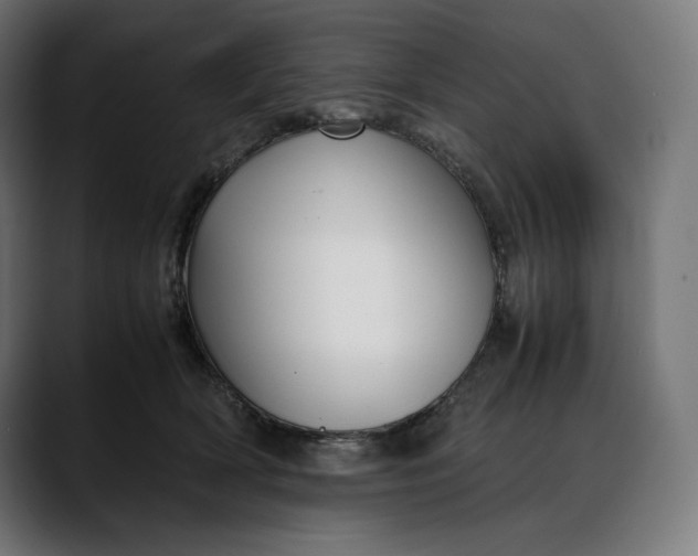 X0000088090418200705251433