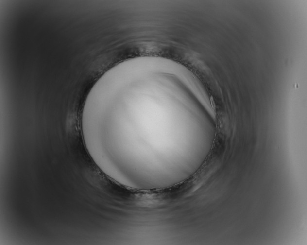 X0000088090419200705251433