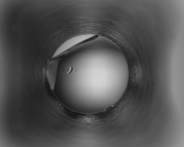 X0000088090420200705251433