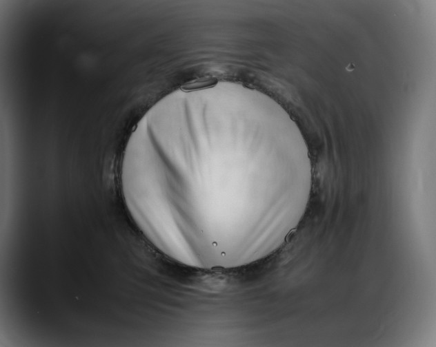 X0000088090423200705251433