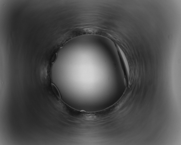 X0000088090424200705251433