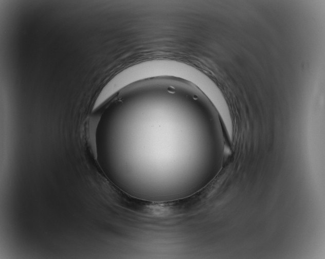 X0000088090425200705251433