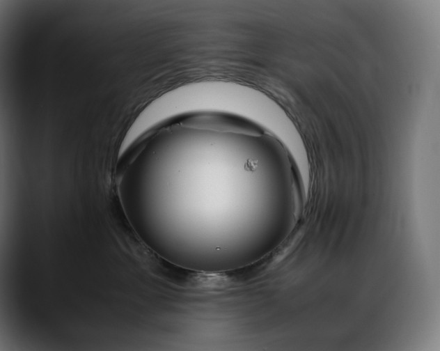 X0000088090429200705251433