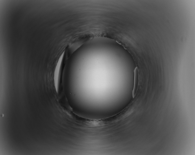 X0000088090432200705251433