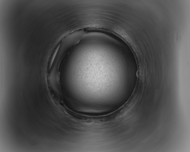 X0000088090434200705251432