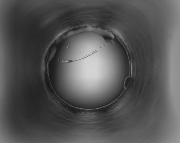 X0000088090435200705251432