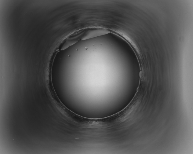 X0000088090437200705251432