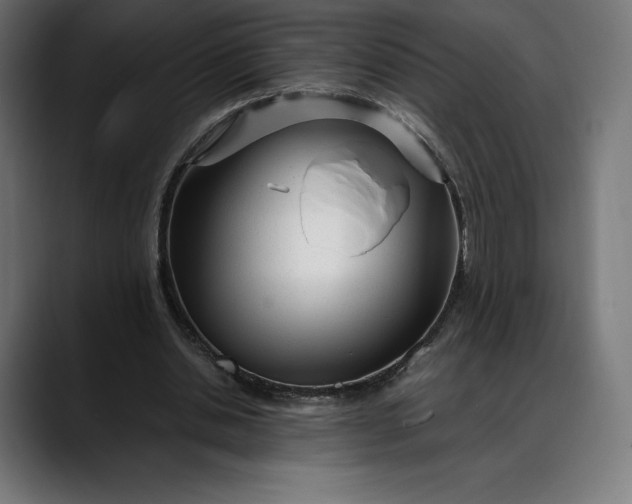 X0000088090438200705251432