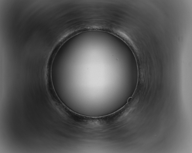 X0000088090439200705251432