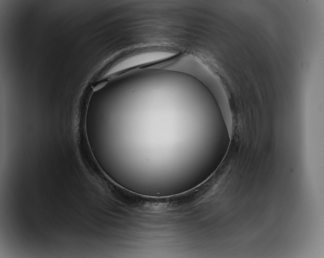 X0000088090440200705251432