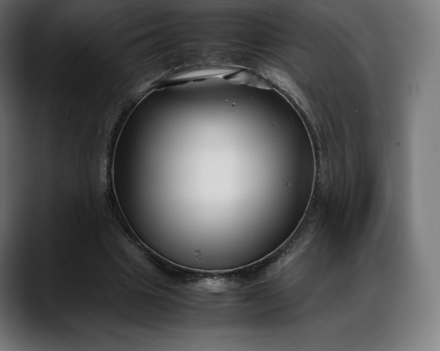 X0000088090441200705251432