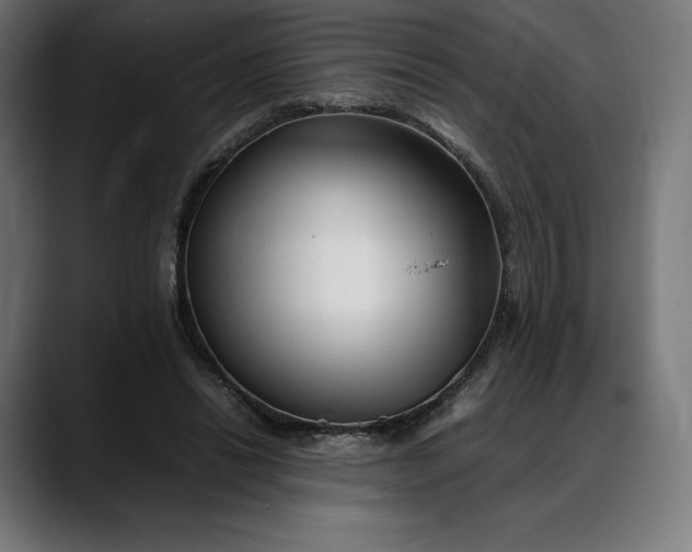 X0000088090446200705251432