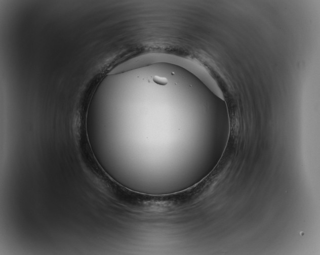 X0000088090448200705251432