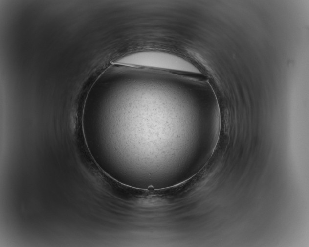 X0000088090451200705251432