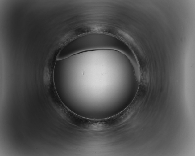 X0000088090456200705251432