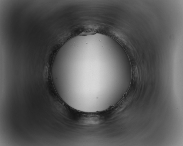 X0000088090463200705251432